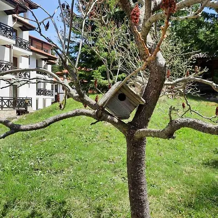 Apartment Lusi Holiday, смолянски езера Smolyan